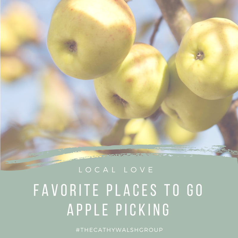 Favorite Places to Go Apple Picking in Chicagoland - The Cathy Walsh Group