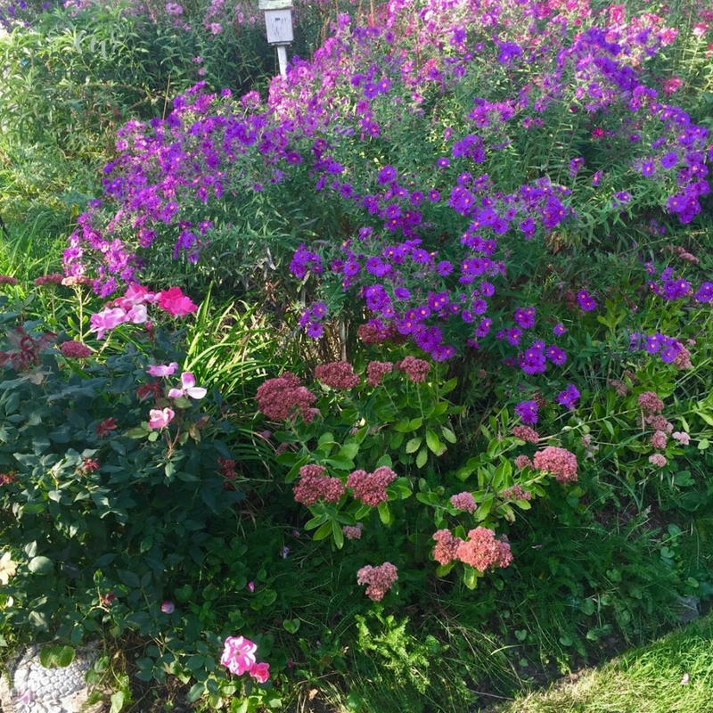 Winter Blooms in Chicago - The Cathy Walsh Group